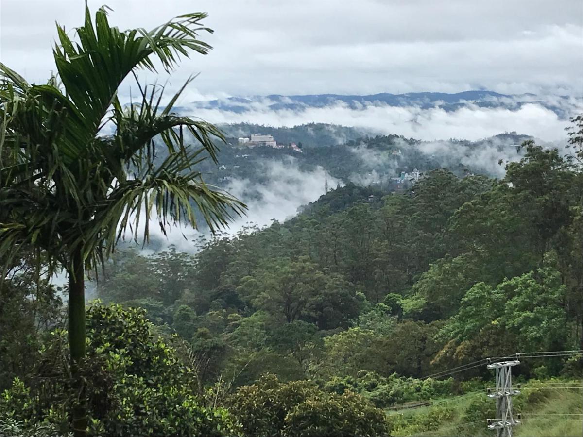הוילה Munnar Nature Dale מראה חיצוני תמונה